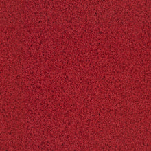 Load image into Gallery viewer, turf gym mat